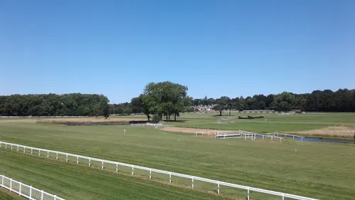 Hippisme : nos préférés pour ce samedi 19 juin